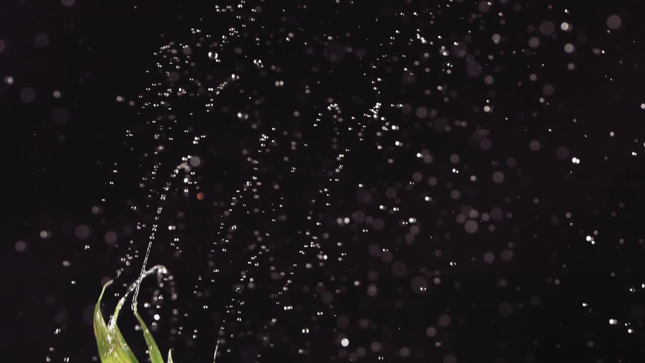 Flying of Pineapple in Black Background in Slow Motion