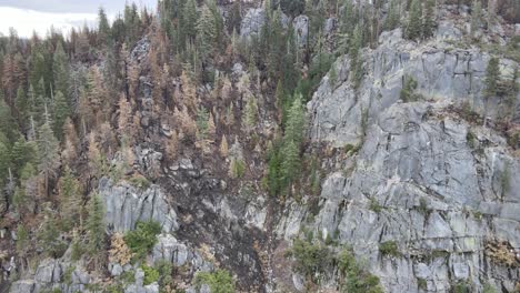 aerial shot of drone flying up close to a burned cliff side from the caldor wildfire, moderate severity wildfire burn