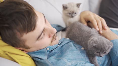 the man is asleep and the kittens are next to him.