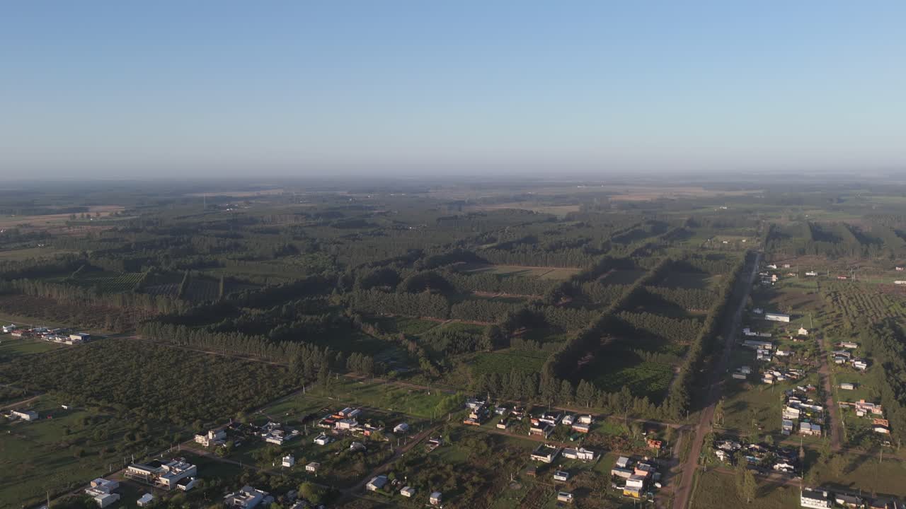 Vista aerea di area agricola con colture rigogliose e casali sparsi. Argentina. 4k
