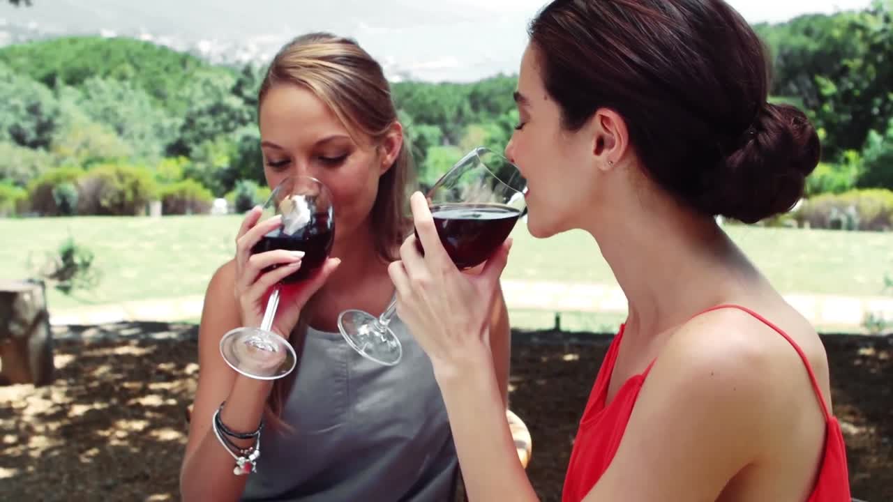 두 친구가 레드 와인을 마시고 있다