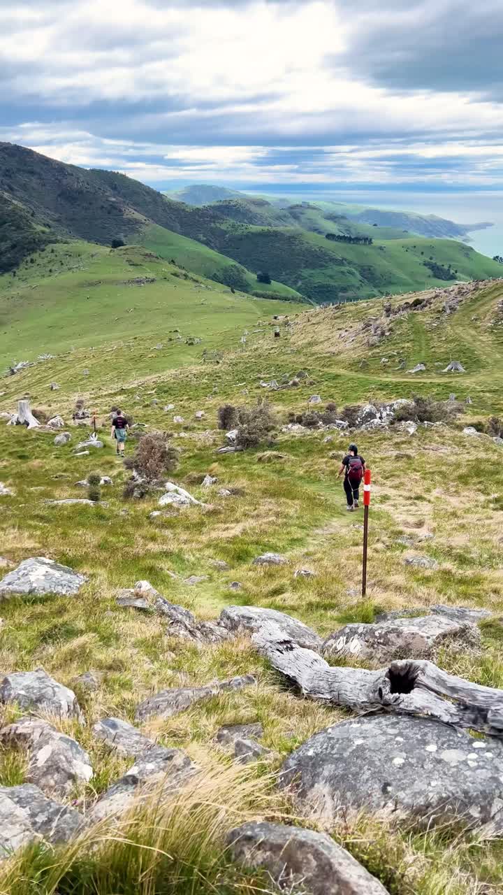 Hikers explore green hills on Akaroa Peninsula, New Zealand, under cloudy sky