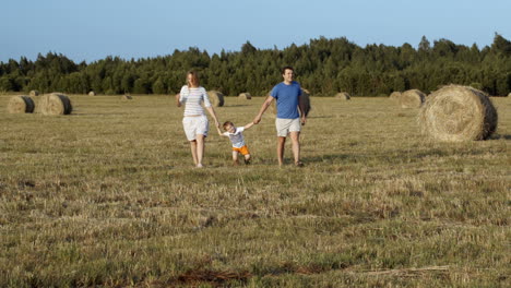 family walking holding hands in the field