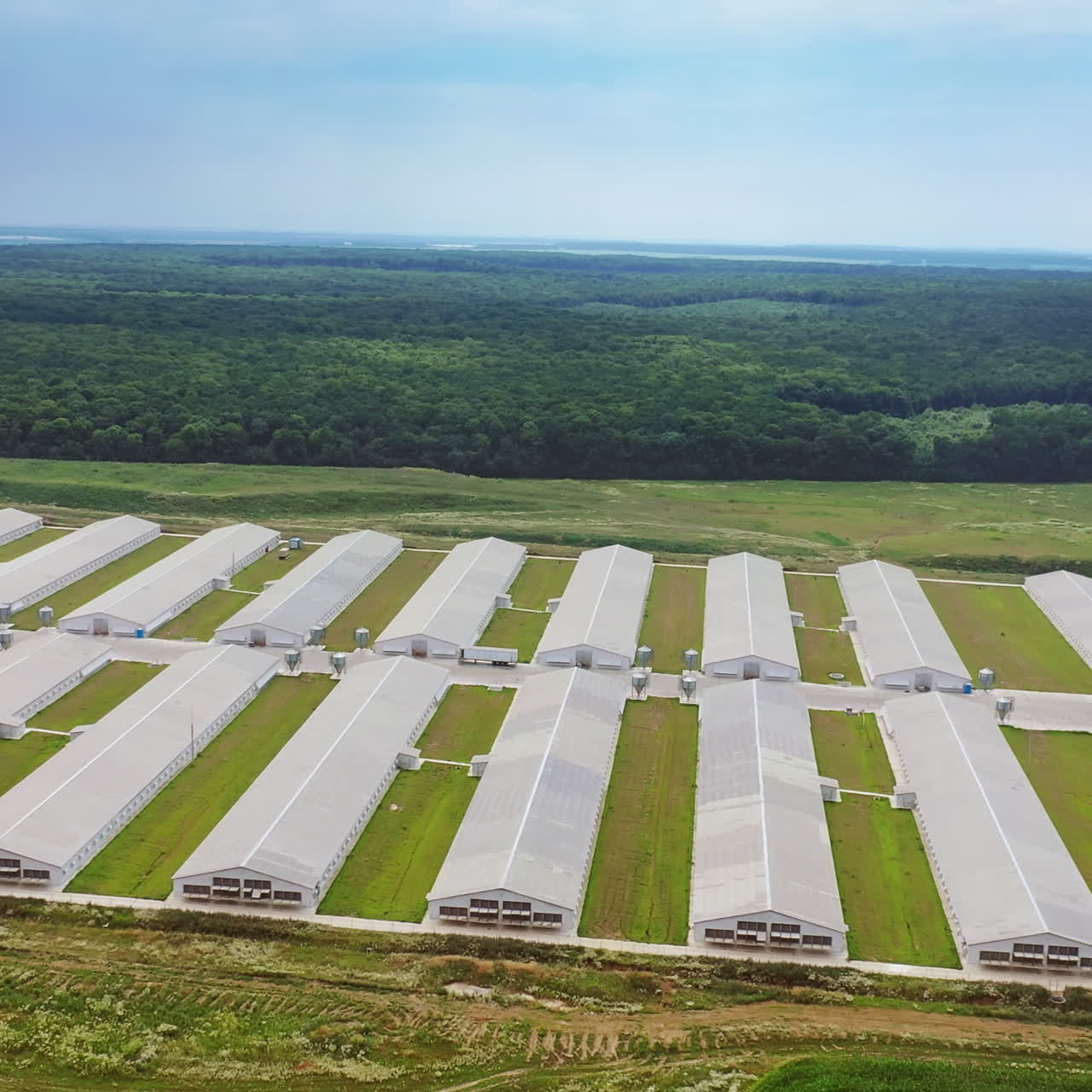 Aerial view of many poultry houses surrounded by natural green environment. Modern buildings of a beautiful farm for livestock outdoors.