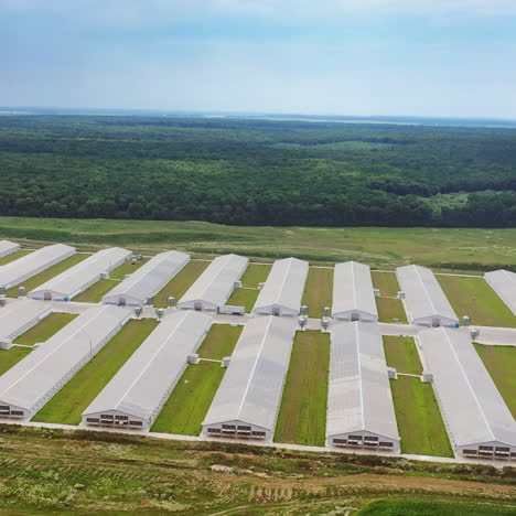 aerial view of many poultry houses surrounded by natural green environment. modern buildings of a beautiful farm for livestock outdoors.