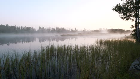 silent morning by foggy lake in northern europe
