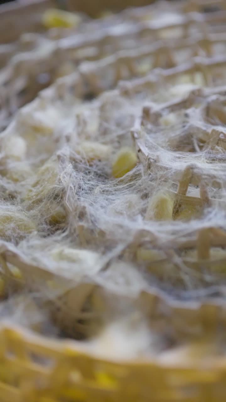 Makro-nærbillede af fine silkefibre, der dækker gule kokoner i en bambuskurv, som viser delikat, naturlig tekstur og råmateriale til traditionel silkeproduktion