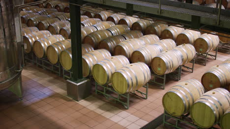interior de la instalación de vinificación con barricas modernas