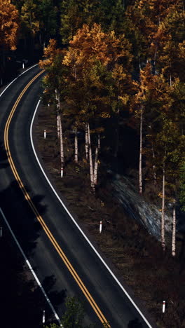 winding road through autumn forest