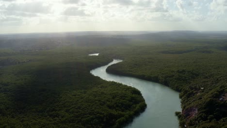 incline hacia abajo el plano amplio del dron aéreo del impresionante río gramame sinuoso rodeado de follaje exótico cerca de la ciudad capital de la playa tropical de joao pessoa en paraiba, brasil en un cálido día de verano