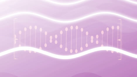 animation of dna strand over white waves on pink background