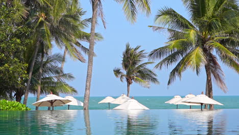 from the edge of a resort infinity pool, across the tops of beach umbrellas and palm trees is a clear blue ocean horizon