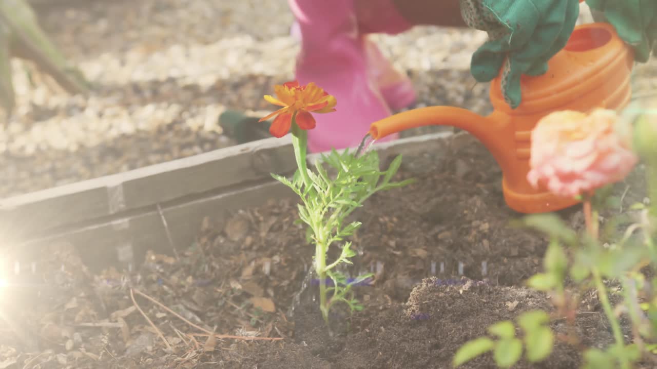 video de luces y senderos sobre una mujer biracial regando el jardín