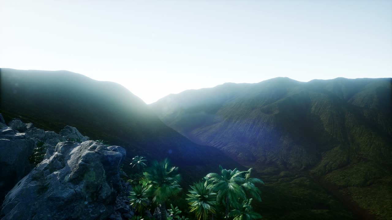 los rayos del atardecer a través de las palmeras