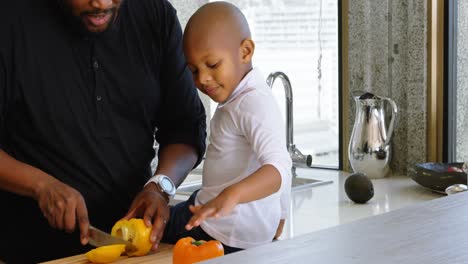 Father-and-son-cutting-bell-pepper-in-kitchen-at-home-4k