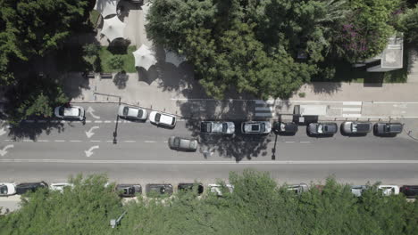 King-David-Boulevard-Tel-Aviv,-full-of-trees-on-their-sides-that-create-shade-from-the-intense-heat-for-pedestrians---top-down-shot