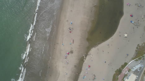 aerial - overhead of beach