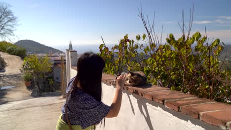 Niña-Vestida-Con-Ropa-De-Verano-Jugando-Con-Gato-En-La-Pared