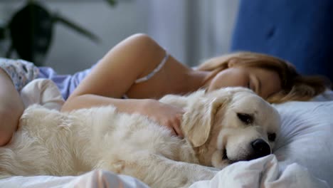 patient dog waiting for awakening of woman owner