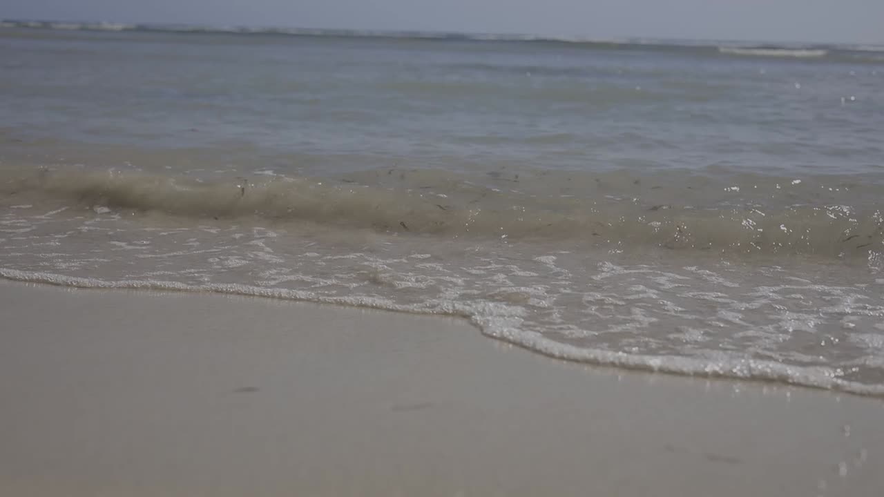 놀라운 해변 열대, 후안 도리오, 도미니카 공화국, 아름다운 여름 휴가, 자연, hd 영상