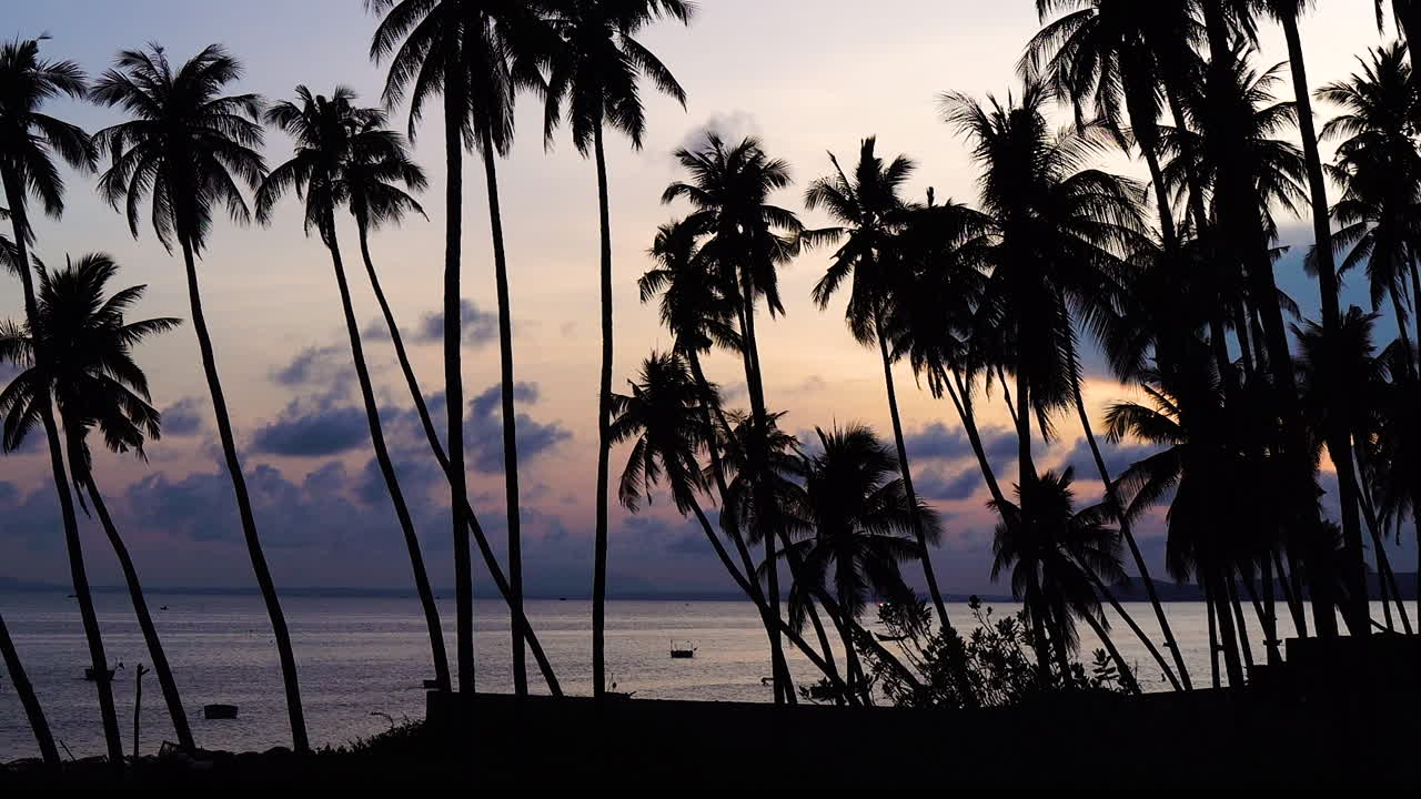 puesta de sol cinematográfica, silueta de palmeras junto al mar, vietnam