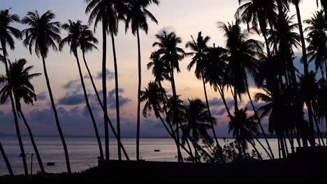 cinematic sunset, silhouette of palm trees by the sea, vietnam