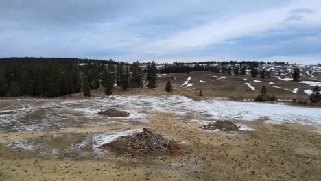 una vista de pájaro de la gestión forestal: una vista aérea de las pilas de quema de residuos de madera en la región de cariboo de columbia británica, canadá