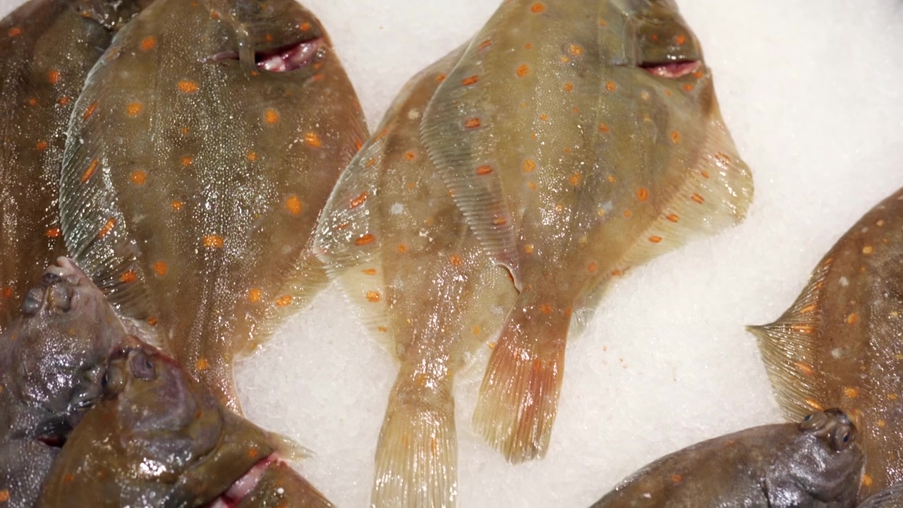 Whole John Dory fish displaying its distinctive shape and prominent spot, a premium seafood choice on display at a market