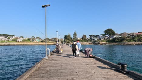 people fishing and walking on pier