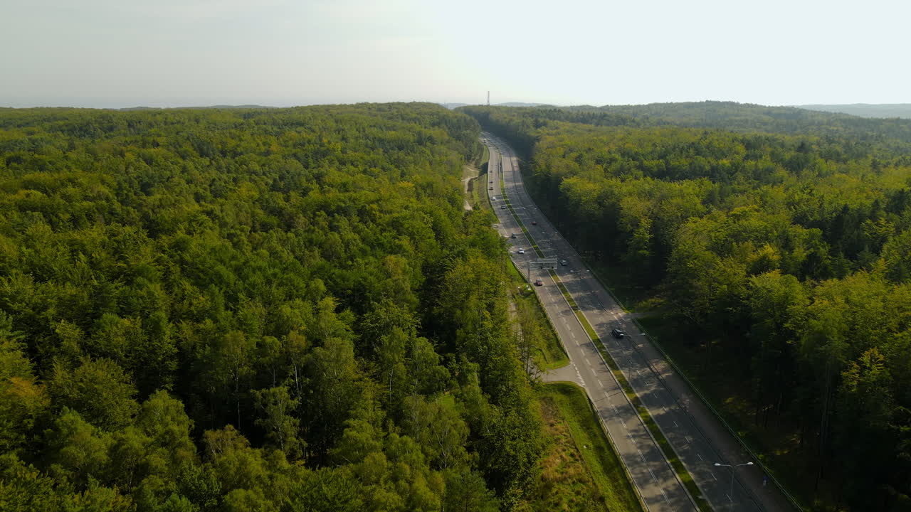 vista panorámica aérea de una carretera en medio de un gran bosque en polonia