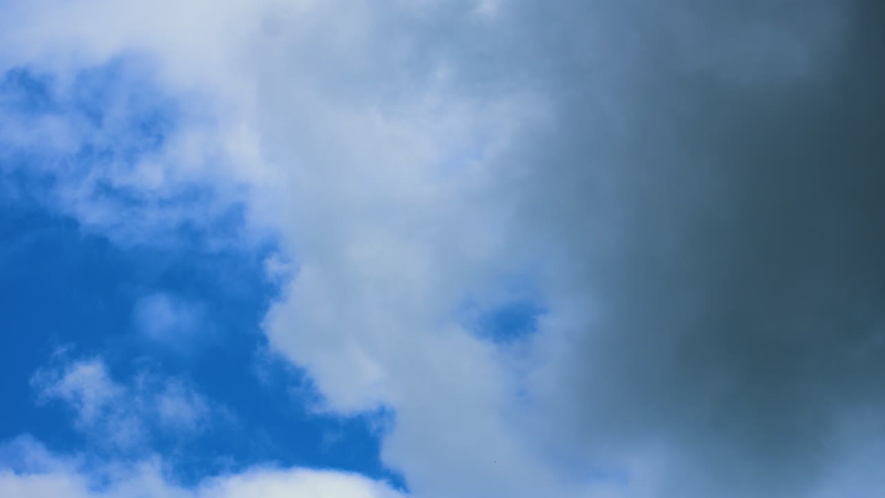 Slow Moving Timelapse of Layers of White Cumulus Clouds Passing with Vivid Bright Blue Sky Background. Dreamy Abstract Nature Wallpaper Footage.