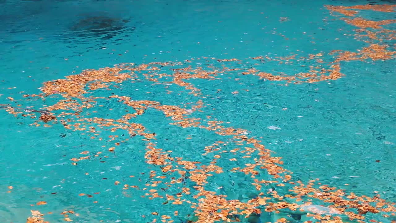 파란 눈, grunas 폭포 및 가을 시즌 또는 가을 시즌 동안 알바니아 알프스에서 theth 주변 하이킹