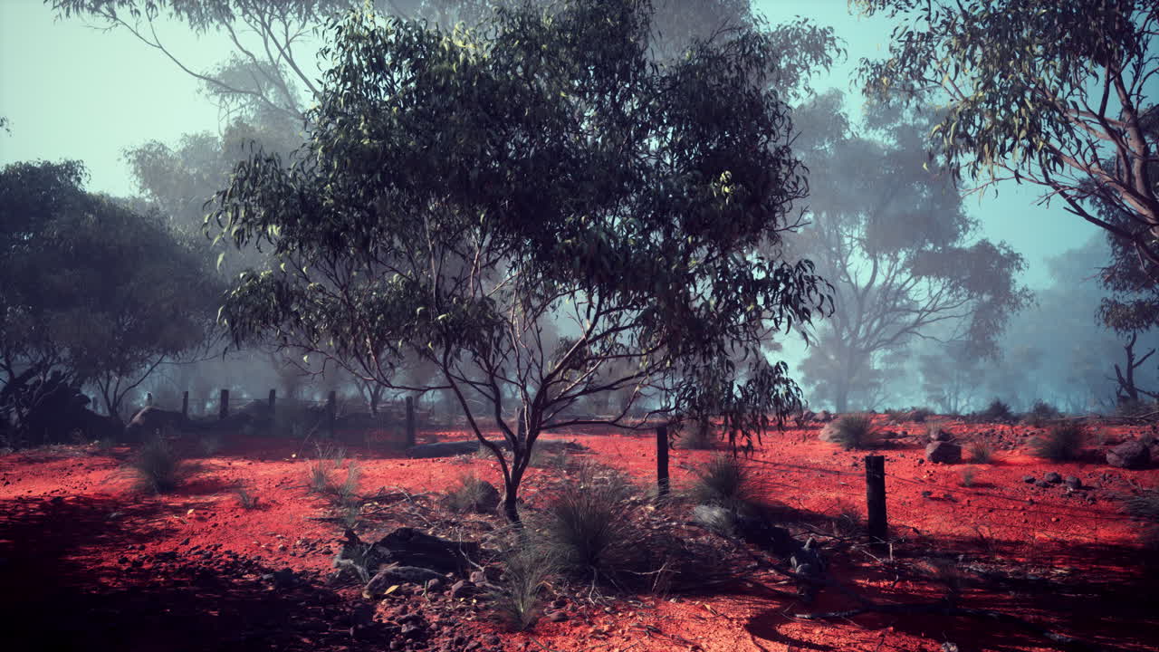 campo amplio con árboles