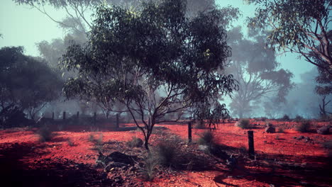 spacious field with trees