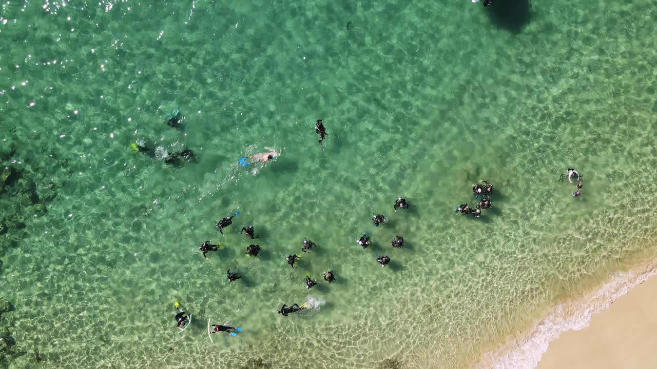 훈련 과정에 참여하는 수중 스쿠버 다이버들의 대규모 그룹