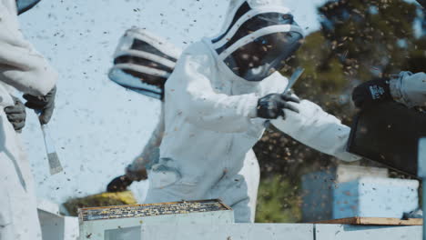 apicultores profesionales en el trabajo moviendo cajas de madera de colmenas de abejas, nueva zelanda