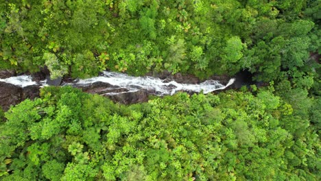 Bird-eye-drone-of-sauzier-waterfall,-dense-tropical-forest-with-palm-trees-and-granite-stone,-Mahe-Seychelles-30fps-2