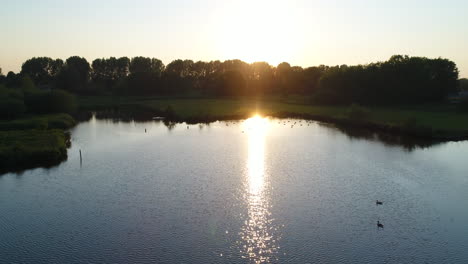 golden sunlight reflection at the water of the lake in gouda, netherlands