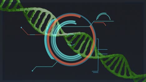 Animation-Des-Verarbeitungskreises-über-DNA-Auf-Schwarzem-Hintergrund