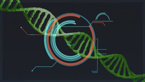 Animación-Del-Círculo-De-Procesamiento-Sobre-ADN-Sobre-Fondo-Negro