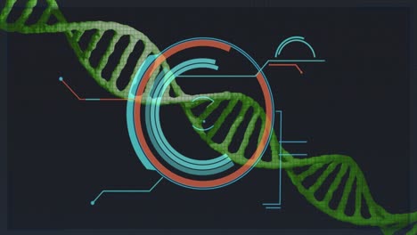 animación del círculo de procesamiento sobre el adn sobre fondo negro