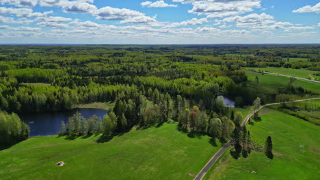 Green-vibrant-forest-and-meadows,-aerial-drone-view