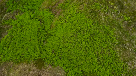 Aerial-view-looking-down-over-Marsden-moorland-rural-green-Peak-district-countryside