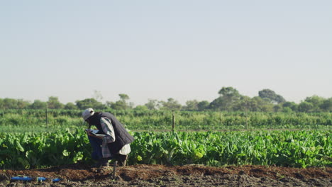 using modern technology to track plant growth