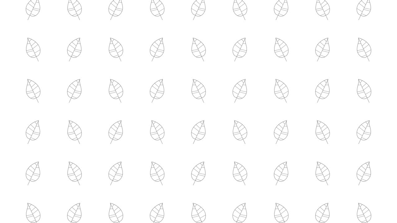 árbol de álamos deja iconos de líneas delgadas negras en un fondo blanco. patrón gráfico de movimiento de bucle sin costuras con hojas animadas en cuadrícula geométrica