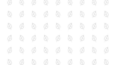 árbol de álamos deja iconos de líneas delgadas negras en un fondo blanco. patrón gráfico de movimiento de bucle sin costuras con hojas animadas en cuadrícula geométrica