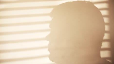 shadow of private person speaking to camera in office