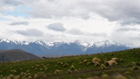 picturesque snowy mountain range in background of green pastures on windy day in new zealand