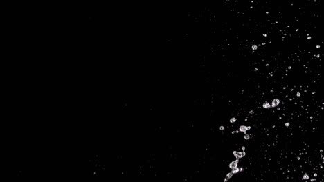 splattering water on a black background