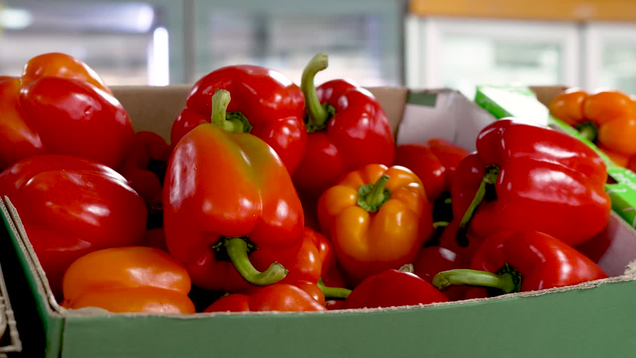 A lively market buzzes with energy as fresh, colorful peppers fill the scene